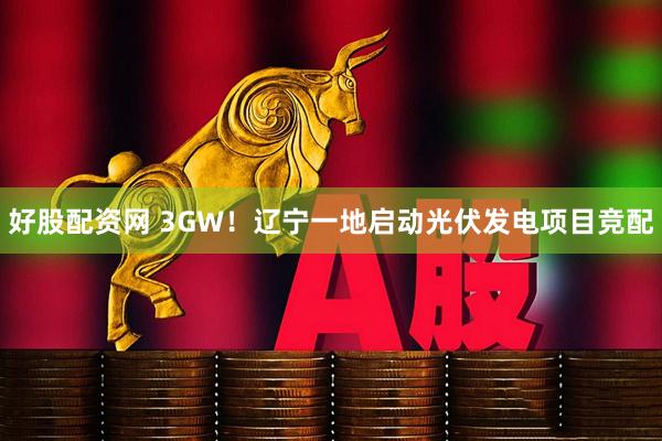 好股配资网 3GW！辽宁一地启动光伏发电项目竞配