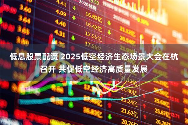 低息股票配资 2025低空经济生态场景大会在杭召开 共促低空经济高质量发展
