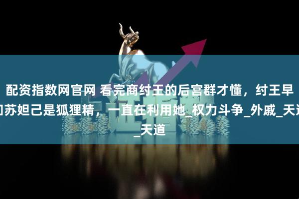 配资指数网官网 看完商纣王的后宫群才懂，纣王早知苏妲己是狐狸精，一直在利用她_权力斗争_外戚_天道