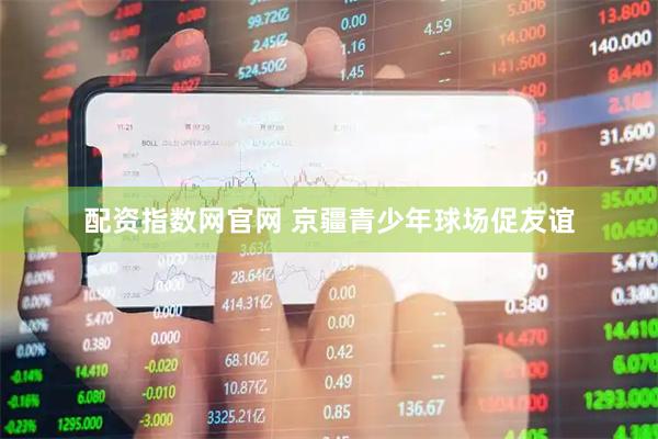 配资指数网官网 京疆青少年球场促友谊