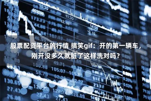 股票配资平台的行情 搞笑gif：开的第一辆车，刚开没多久就脏了这样洗对吗？