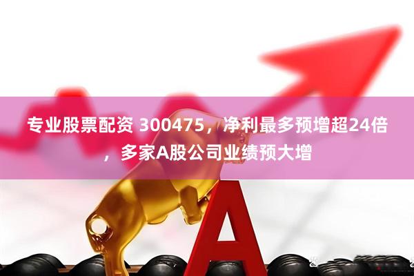 专业股票配资 300475，净利最多预增超24倍，多家A股公司业绩预大增
