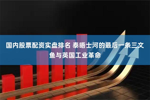国内股票配资实盘排名 泰晤士河的最后一条三文鱼与英国工业革命